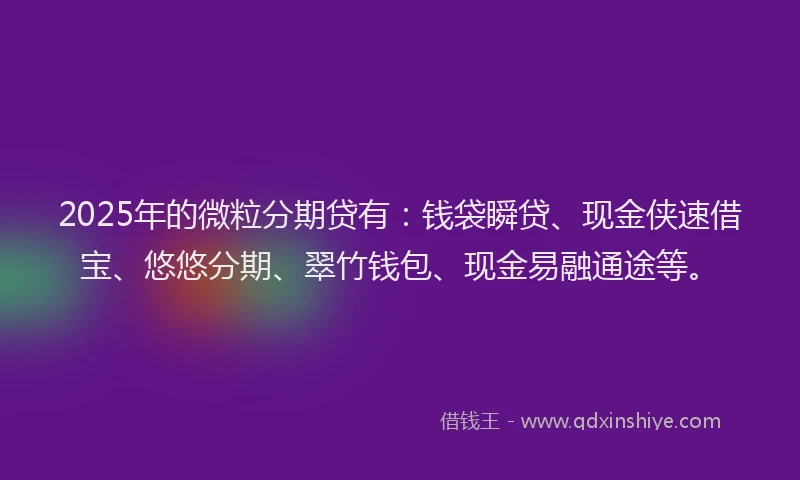 2025年的微粒分期贷有：钱袋瞬贷、现金侠速借宝、悠悠分期、翠竹钱包、现金易融通途等。