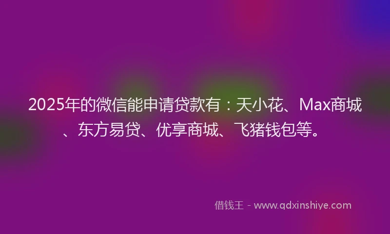 2025年的微信能申请贷款有：天小花、Max商城、东方易贷、优享商城、飞猪钱包等。