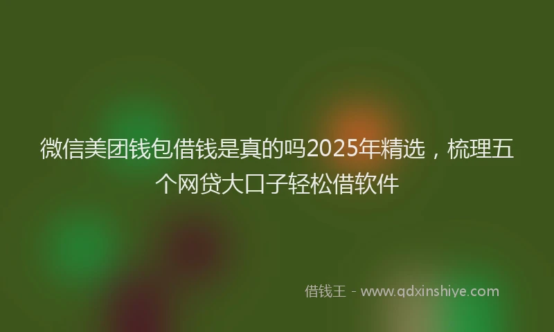微信美团钱包借钱是真的吗2025年精选，梳理五个网贷大口子轻松借软件