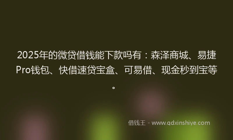 2025年的微贷借钱能下款吗有：森泽商城、易捷Pro钱包、快借速贷宝盒、可易借、现金秒到宝等。