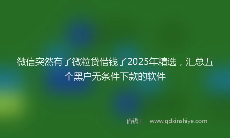 微信突然有了微粒贷借钱了2025年精选，汇总五个黑户无条件下款的软件