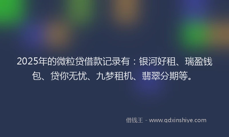 2025年的微粒贷借款记录有：银河好租、瑞盈钱包、贷你无忧、九梦租机、翡翠分期等。