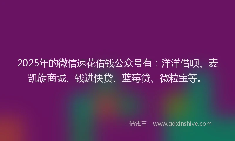 2025年的微信速花借钱公众号有：洋洋借呗、麦凯旋商城、钱进快贷、蓝莓贷、微粒宝等。