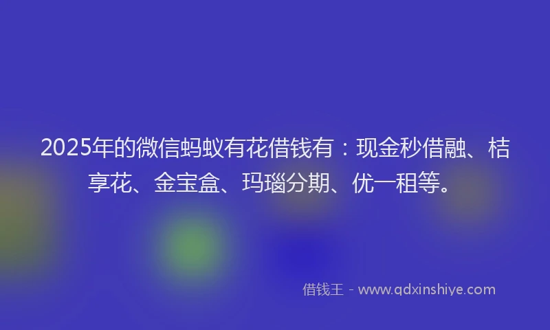 2025年的微信蚂蚁有花借钱有：现金秒借融、桔享花、金宝盒、玛瑙分期、优一租等。