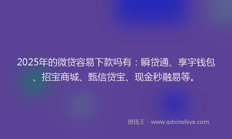 2025年的微贷容易下款吗有：瞬贷通、享宇钱包、招宝商城、甄信贷宝、现金秒融易等。
