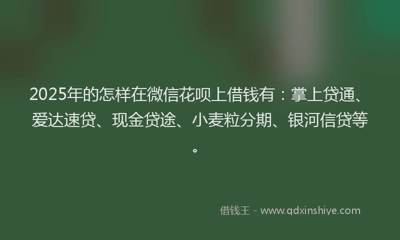 2025年的怎样在微信花呗上借钱有：掌上贷通、爱达速贷、现金贷途、小麦粒分期、银河信贷等。