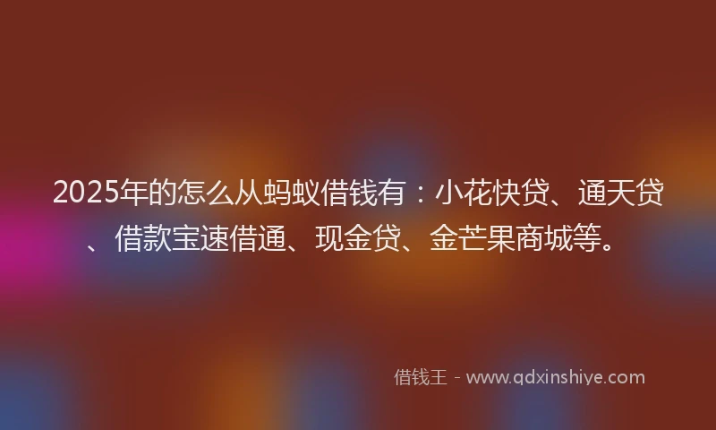 2025年的怎么从蚂蚁借钱有：小花快贷、通天贷、借款宝速借通、现金贷、金芒果商城等。