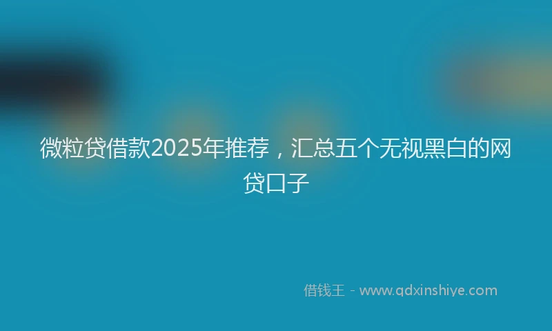 微粒贷借款2025年推荐，汇总五个无视黑白的网贷口子