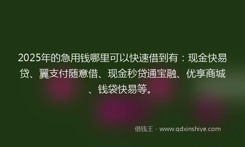 2025年的急用钱哪里可以快速借到有：现金快易贷、翼支付随意借、现金秒贷通宝融、优享商城、钱袋快易等。