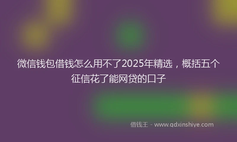 微信钱包借钱怎么用不了2025年精选，概括五个征信花了能网贷的口子