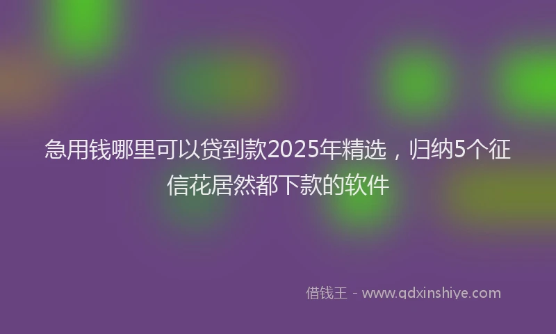 急用钱哪里可以贷到款2025年精选，归纳5个征信花居然都下款的软件