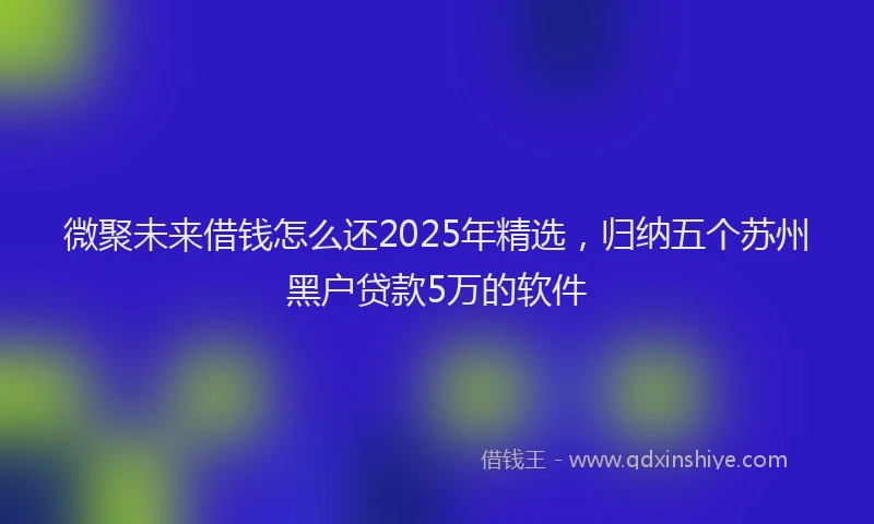 微聚未来借钱怎么还2025年精选，归纳五个苏州黑户贷款5万的软件