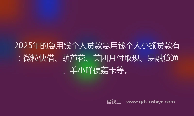 2025年的急用钱个人贷款急用钱个人小额贷款有：微粒快借、葫芦花、美团月付取现、易融贷通、羊小咩便荔卡等。