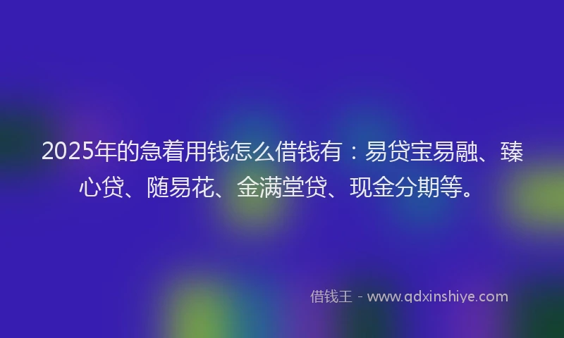 2025年的急着用钱怎么借钱有：易贷宝易融、臻心贷、随易花、金满堂贷、现金分期等。