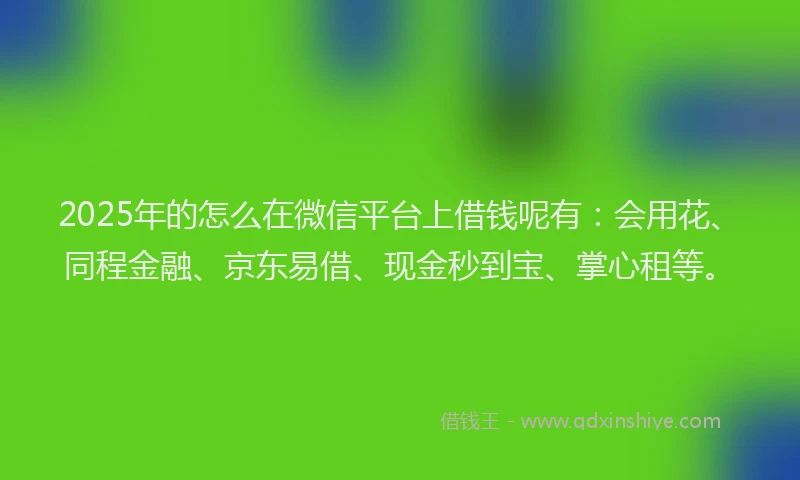 2025年的怎么在微信平台上借钱呢有：会用花、同程金融、京东易借、现金秒到宝、掌心租等。