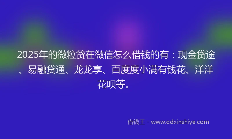 2025年的微粒贷在微信怎么借钱的有：现金贷途、易融贷通、龙龙享、百度度小满有钱花、洋洋花呗等。