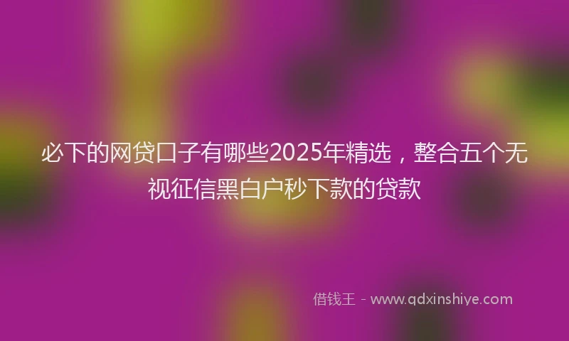 必下的网贷口子有哪些2025年精选，整合五个无视征信黑白户秒下款的贷款