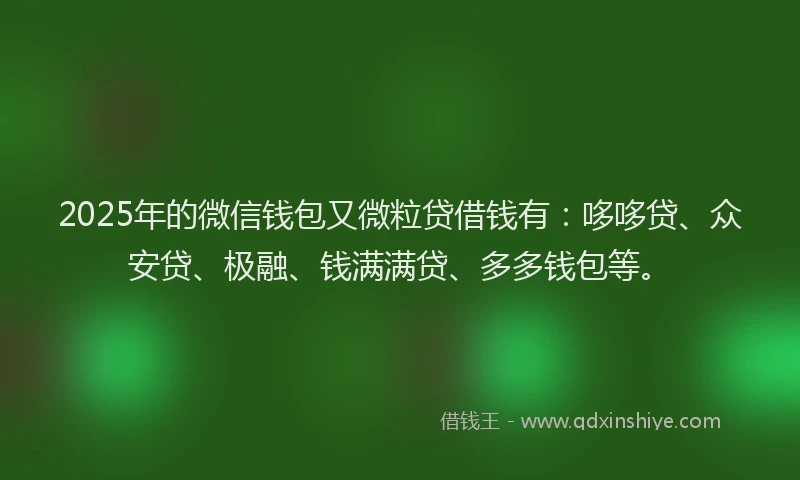 2025年的微信钱包又微粒贷借钱有：哆哆贷、众安贷、极融、钱满满贷、多多钱包等。
