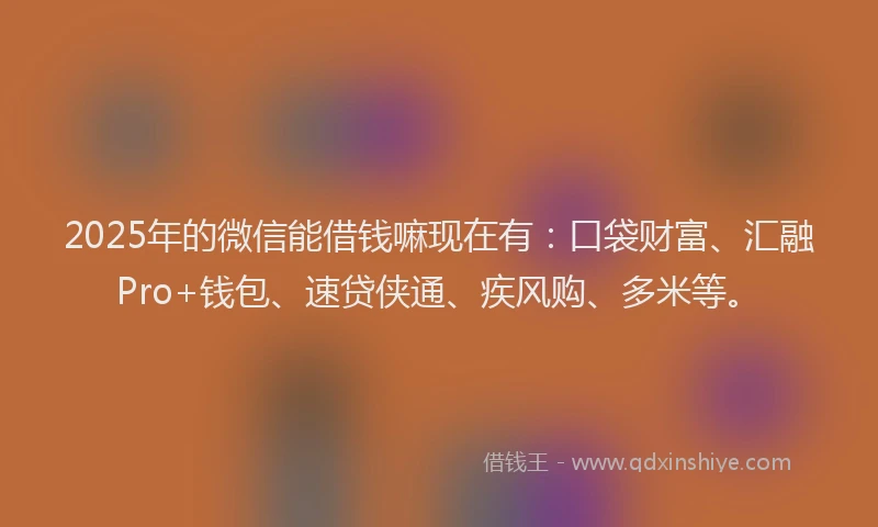 2025年的微信能借钱嘛现在有：口袋财富、汇融Pro+钱包、速贷侠通、疾风购、多米等。