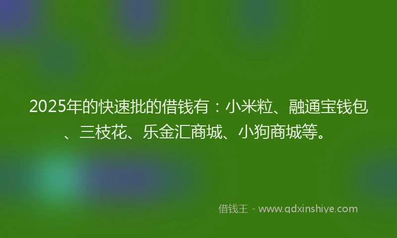 2025年的快速批的借钱有：小米粒、融通宝钱包、三枝花、乐金汇商城、小狗商城等。