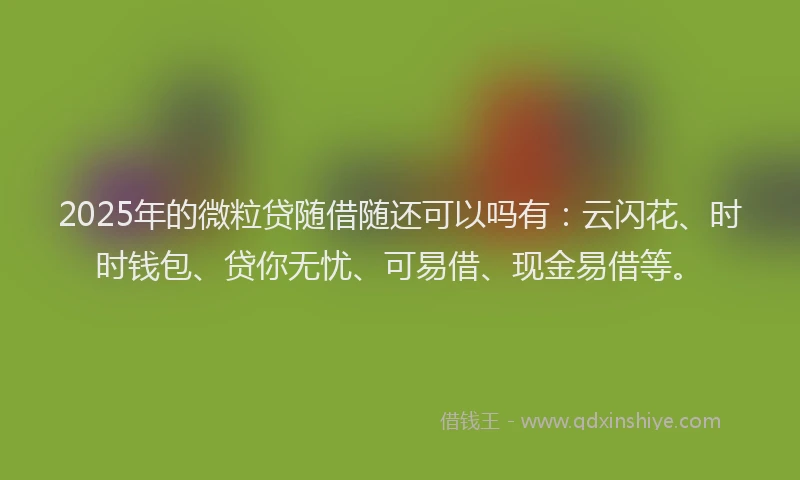 2025年的微粒贷随借随还可以吗有：云闪花、时时钱包、贷你无忧、可易借、现金易借等。