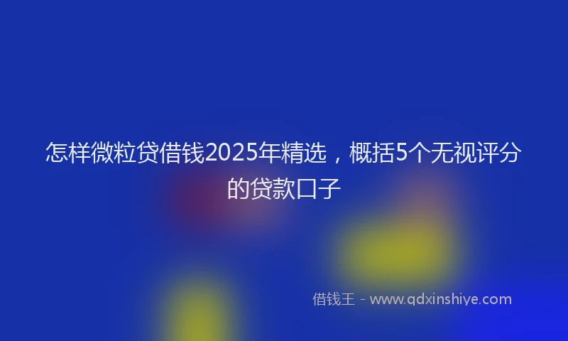 怎样微粒贷借钱2025年精选，概括5个无视评分的贷款口子