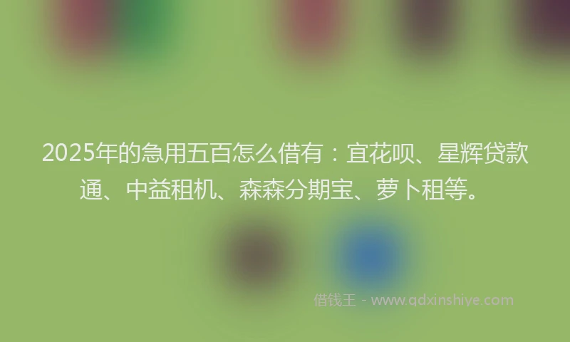 2025年的急用五百怎么借有：宜花呗、星辉贷款通、中益租机、森森分期宝、萝卜租等。