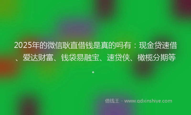 2025年的微信耿直借钱是真的吗有：现金贷速借、爱达财富、钱袋易融宝、速贷侠、橄榄分期等。