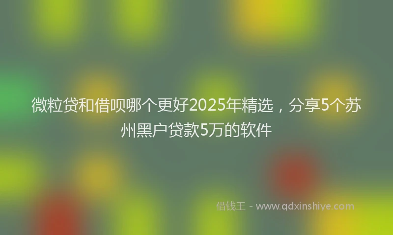 微粒贷和借呗哪个更好2025年精选，分享5个苏州黑户贷款5万的软件