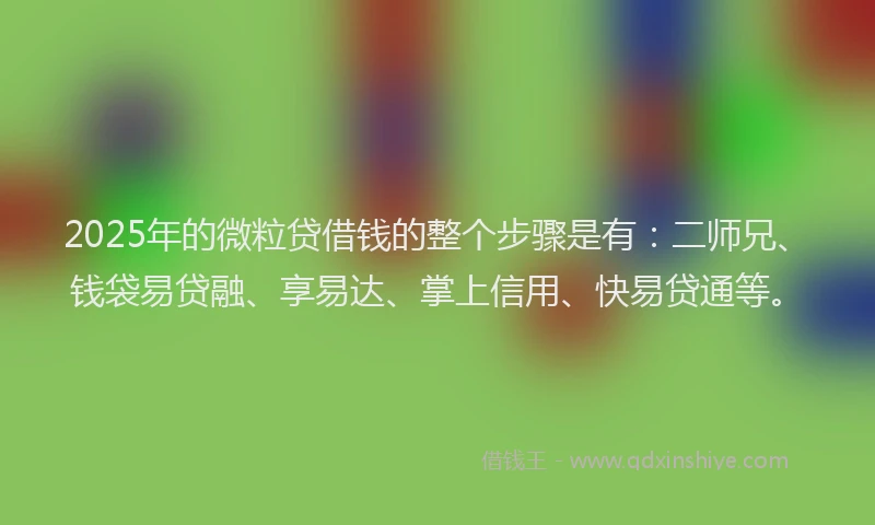 2025年的微粒贷借钱的整个步骤是有：二师兄、钱袋易贷融、享易达、掌上信用、快易贷通等。