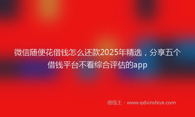 微信随便花借钱怎么还款2025年精选，分享五个借钱平台不看综合评估的app