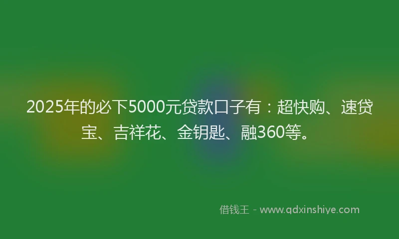 2025年的必下5000元贷款口子有：超快购、速贷宝、吉祥花、金钥匙、融360等。