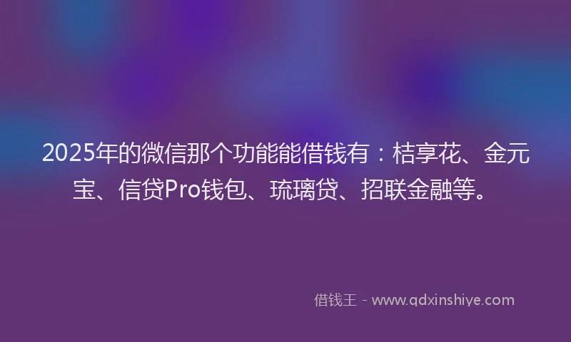 2025年的微信那个功能能借钱有：桔享花、金元宝、信贷Pro钱包、琉璃贷、招联金融等。