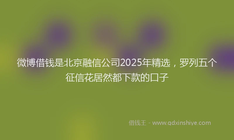 微博借钱是北京融信公司2025年精选，罗列五个征信花居然都下款的口子