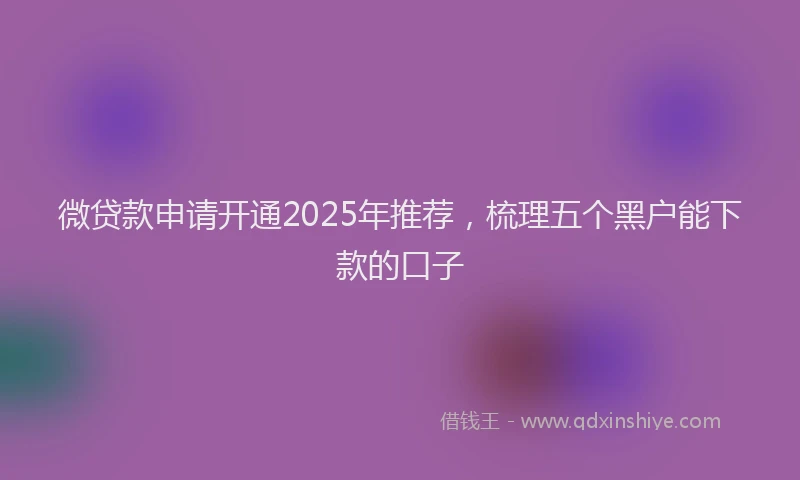 微贷款申请开通2025年推荐，梳理五个黑户能下款的口子