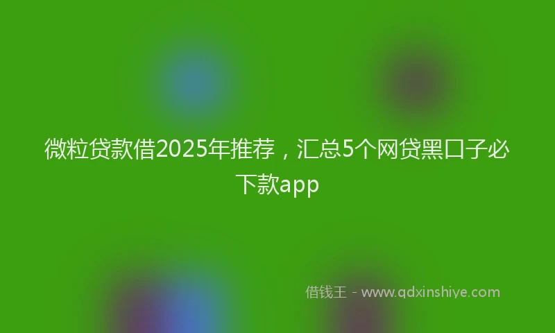 微粒贷款借2025年推荐，汇总5个网贷黑口子必下款app