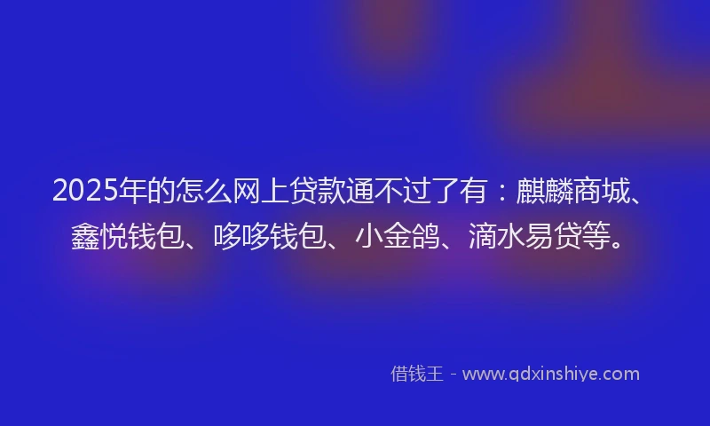 2025年的怎么网上贷款通不过了有：麒麟商城、鑫悦钱包、哆哆钱包、小金鸽、滴水易贷等。