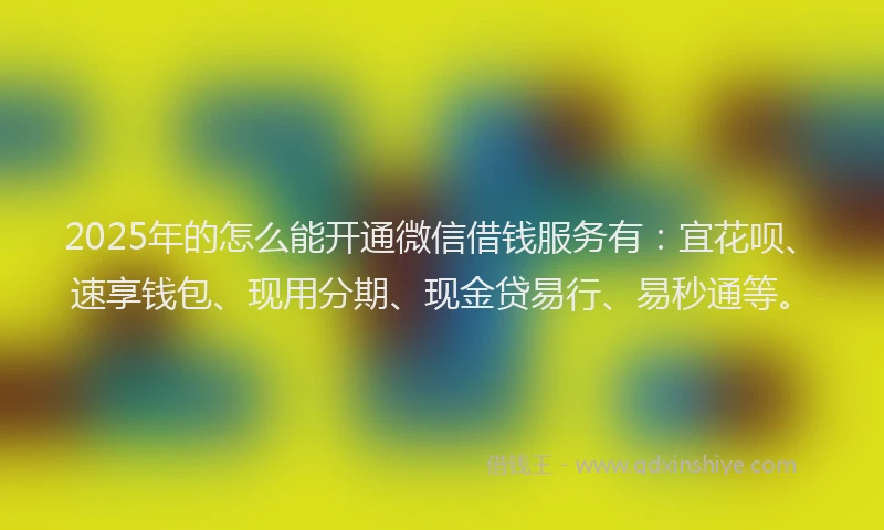 2025年的怎么能开通微信借钱服务有：宜花呗、速享钱包、现用分期、现金贷易行、易秒通等。
