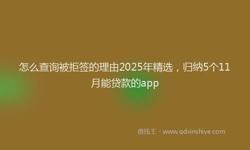 怎么查询被拒签的理由2025年精选，归纳5个11月能贷款的app