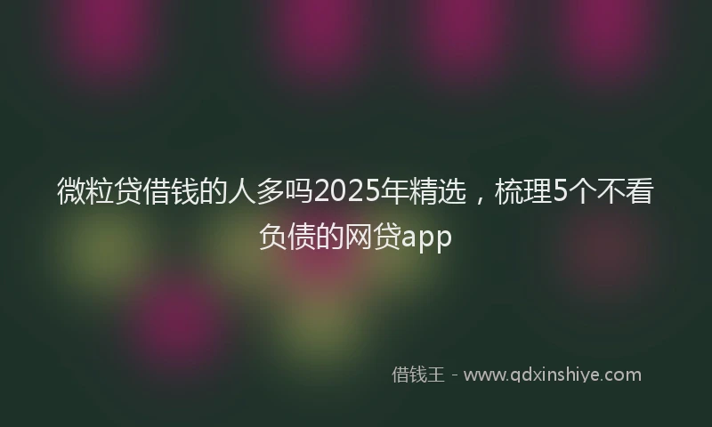微粒贷借钱的人多吗2025年精选，梳理5个不看负债的网贷app