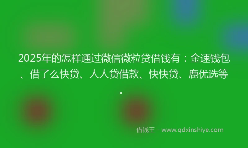2025年的怎样通过微信微粒贷借钱有：金速钱包、借了么快贷、人人贷借款、快快贷、鹿优选等。