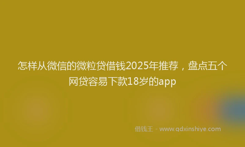 怎样从微信的微粒贷借钱2025年推荐，盘点五个网贷容易下款18岁的app