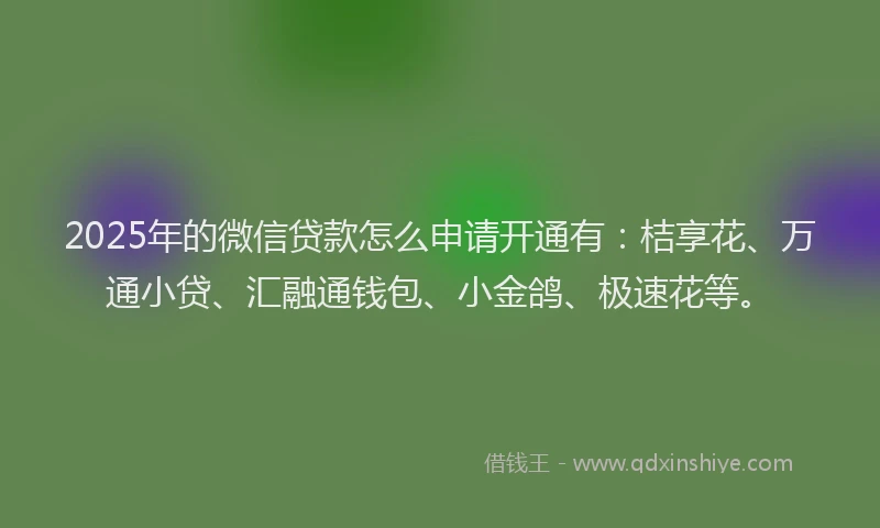 2025年的微信贷款怎么申请开通有：桔享花、万通小贷、汇融通钱包、小金鸽、极速花等。