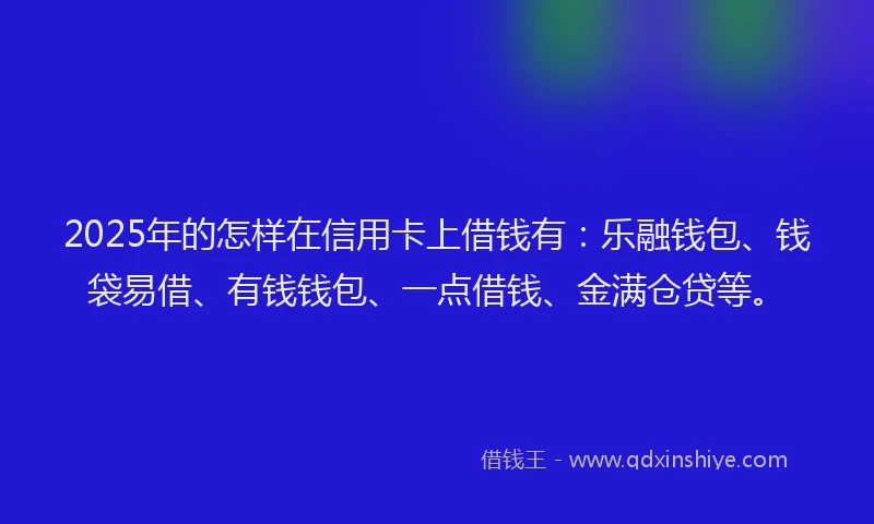 2025年的怎样在信用卡上借钱有：乐融钱包、钱袋易借、有钱钱包、一点借钱、金满仓贷等。