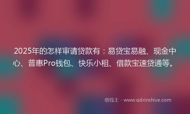 2025年的怎样审请贷款有：易贷宝易融、现金中心、普惠Pro钱包、快乐小租、借款宝速贷通等。