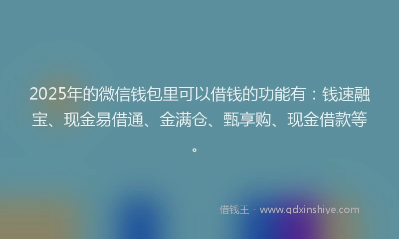 2025年的微信钱包里可以借钱的功能有：钱速融宝、现金易借通、金满仓、甄享购、现金借款等。