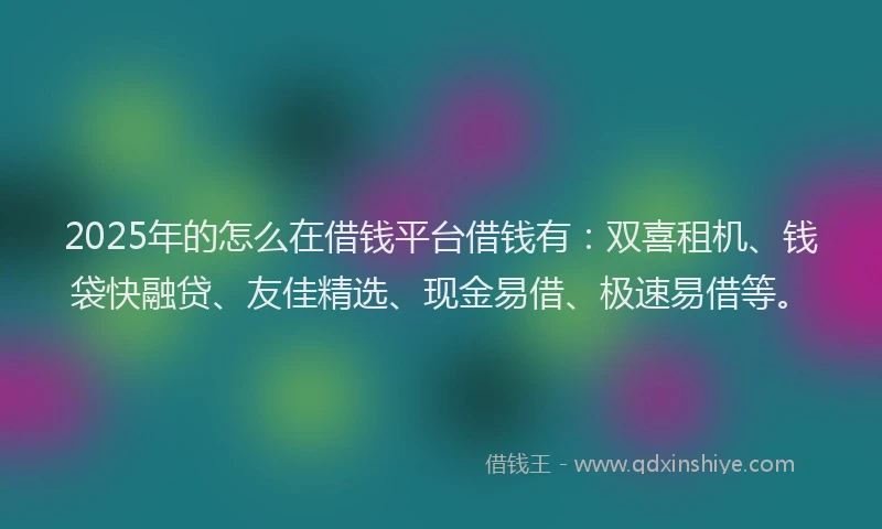 2025年的怎么在借钱平台借钱有:双喜租机、钱袋快融贷、友佳精选、现金易借、极速易借等。