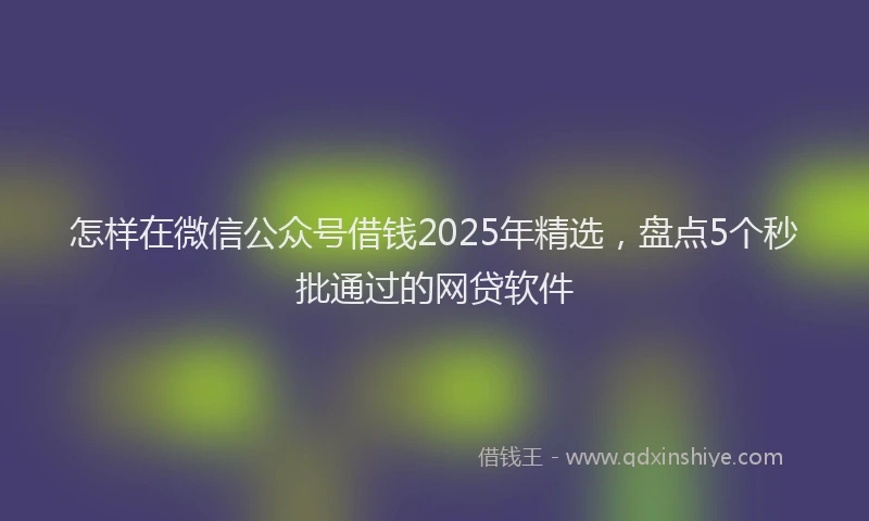 怎样在微信公众号借钱2025年精选，盘点5个秒批通过的网贷软件