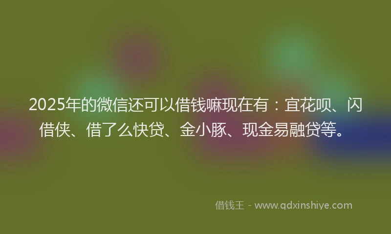 2025年的微信还可以借钱嘛现在有：宜花呗、闪借侠、借了么快贷、金小豚、现金易融贷等。