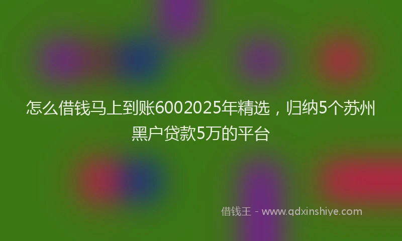 怎么借钱马上到账6002025年精选，归纳5个苏州黑户贷款5万的平台